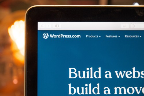 Développeurs Wordpress : Quel parcours ?