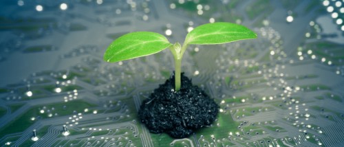 Green Computing: discover the good practices