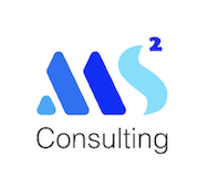 MS2 Consulting