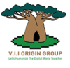 Group V.I.I ORIGIN