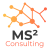 MS2 Consulting